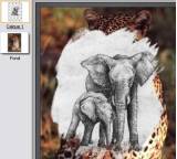 Bildbearbeitungsprogramm im Test: PhotoFiltre 6.3.1 von Antonio Da Cruz, Testberichte.de-Note: ohne Endnote