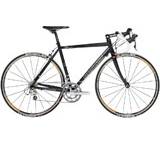 Fahrrad im Test: Q-RR 800 von Conway, Testberichte.de-Note: 1.0 Sehr gut