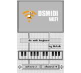DSMI 3.0