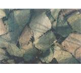 Jagdbedarf im Test: Placken-Tarnnetz von Behrendt Tarnnetze, Testberichte.de-Note: 2.0 Gut