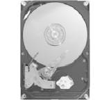 Maxtor STM31000340AS