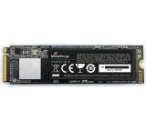 MR1033 M.2 NVMe PCIe SSD (1TB)