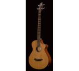 Bass im Test: Atlas Solo BJ350/CM4 von Breedlove, Testberichte.de-Note: ohne Endnote