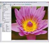 Noise Ninja Pro Bundle