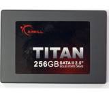 Titan 256 GB FM25S2S-256GBT1