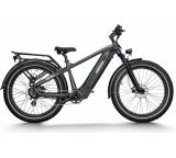 E-Bike im Test: Zebra Step Over von Himiway, Testberichte.de-Note: 1.3 Sehr gut