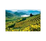 Wanderung, Ausflug & Tour im Test: Frühlingstal von Südtirol, Testberichte.de-Note: ohne Endnote