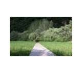 Wanderung, Ausflug & Tour im Test: Naturerlebnisweg Kalterer See von Südtirol, Testberichte.de-Note: ohne Endnote