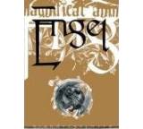 Gesellschaftsspiel im Test: Engel von Feder & Schwert, Testberichte.de-Note: 3.0 Befriedigend