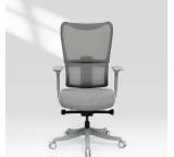 Bürostuhl im Test: BS8 Pro von Flexispot, Testberichte.de-Note: 1,5