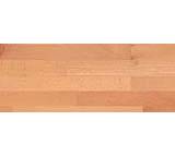 Parkett im Test: 4000 ComforTec TC SB Schiffsboden Buche Trend von Haro, Testberichte.de-Note: ohne Endnote