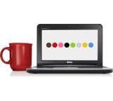 Inspiron Mini 10 (Atom Z530, 160 GB)