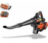 Laubgerät im Test: FX-E2LBS Set von Fuxtec, Testberichte.de-Note: 1.8 Gut