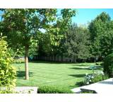 Rollrasen im Test: Gartenrasen von Marchfeldrasen, Testberichte.de-Note: 2.0 Gut