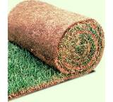 Rollrasen im Test: Patentrasen von Augsberger-Gruppe, Testberichte.de-Note: 2.5 Gut