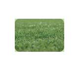 Rollrasen im Test: Rollrasen von Fertigrasen Mayer, Testberichte.de-Note: 4.7 Mangelhaft