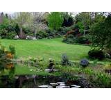 Rollrasen im Test: Gartenrasen von Prilucik, Testberichte.de-Note: 4.7 Mangelhaft