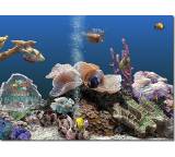 Weiteres Tool im Test: Marine Aquarium 3 von SereneScreen, Testberichte.de-Note: 2.7 Befriedigend