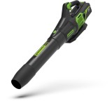 Laubgerät im Test: GD60AB von Greenworks, Testberichte.de-Note: ohne Endnote