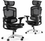 Bürostuhl im Test: ErgoX Pro von Flexispot, Testberichte.de-Note: 1.4 Sehr gut