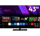 Fernseher im Test: Life X8432501 (MD 843300) von Medion, Testberichte.de-Note: 1.8 Gut