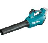 Laubgerät im Test: DUB184RT von Makita, Testberichte.de-Note: 1.7 Gut