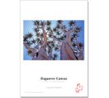 Daguerre Canvas