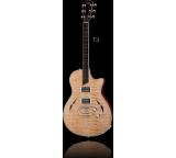 Gitarre im Test: T-3 von Taylor Guitars, Testberichte.de-Note: ohne Endnote