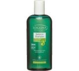 Shampoo im Test: Balance Shampoo Zitronenmelisse von Logona, Testberichte.de-Note: 1.4 Sehr gut