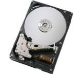 Festplatte im Test: Deskstar P7K500 0A35415 (500 GB) von HGST / Hitachi, Testberichte.de-Note: ohne Endnote