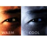 Bildbearbeitungsprogramm im Test: Magic Bullet Mojo 1.0 von Red Giant Software, Testberichte.de-Note: 1.2 Sehr gut