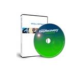 Easy Recovery Professional 6.2