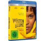 Wüstenblume