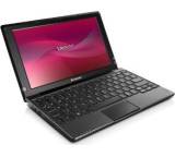 Ideapad S10-3 (M33D6GE)