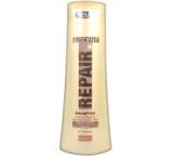 Repair Shampoo