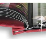 Bilderdienst im Test: Fotobuch premium Leinen XXL von Printeria, Testberichte.de-Note: 1.8 Gut