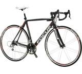 Cayo Expert 22G Athena