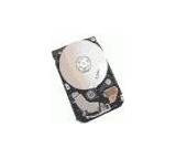 Barracuda ST3160023A