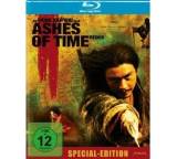 Ashes of Time: Redux