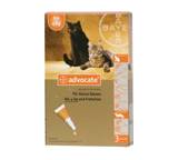 Zeckenmittel & Flohmittel für Haustiere im Test: Advocate für kleine Katzen bis 4 kg von Bayer Vital, Testberichte.de-Note: 4.0 Ausreichend