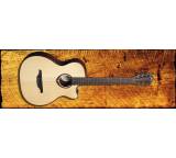 Gitarre im Test: Tramontane T4NACE von LAG Guitars, Testberichte.de-Note: ohne Endnote