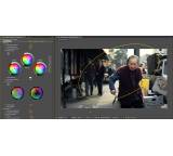 Multimedia-Software im Test: Magic Bullet Colorista II von Red Giant Software, Testberichte.de-Note: 3.0 Befriedigend