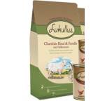 Charolais Rind & Forelle