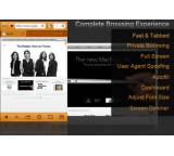 Mercury Web Browser Pro 4