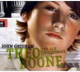 Theo Boone und der unsichtbare Zeuge