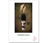 Leonardo Canvas
