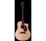 Gitarre im Test: American Series D25/SRE von Breedlove, Testberichte.de-Note: ohne Endnote