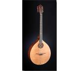 Gitarre im Test: Medieval Bouzouki Faun Edition von Stevens Custom Guitars, Testberichte.de-Note: ohne Endnote