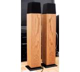 Lautsprecher im Test: Walsh AE 1000 IS von Ohm Acoustics, Testberichte.de-Note: ohne Endnote