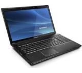 IdeaPad G560 P6100 (250 GB)
